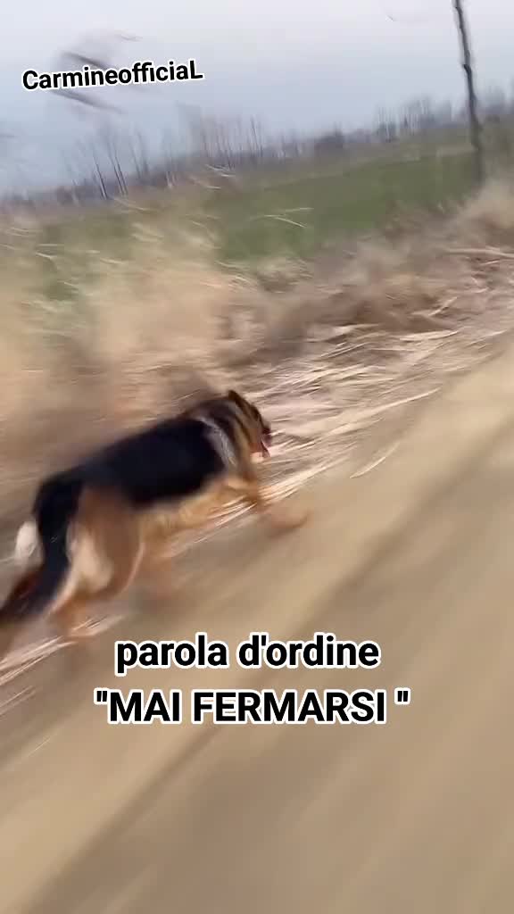 @CarmineofficiaL