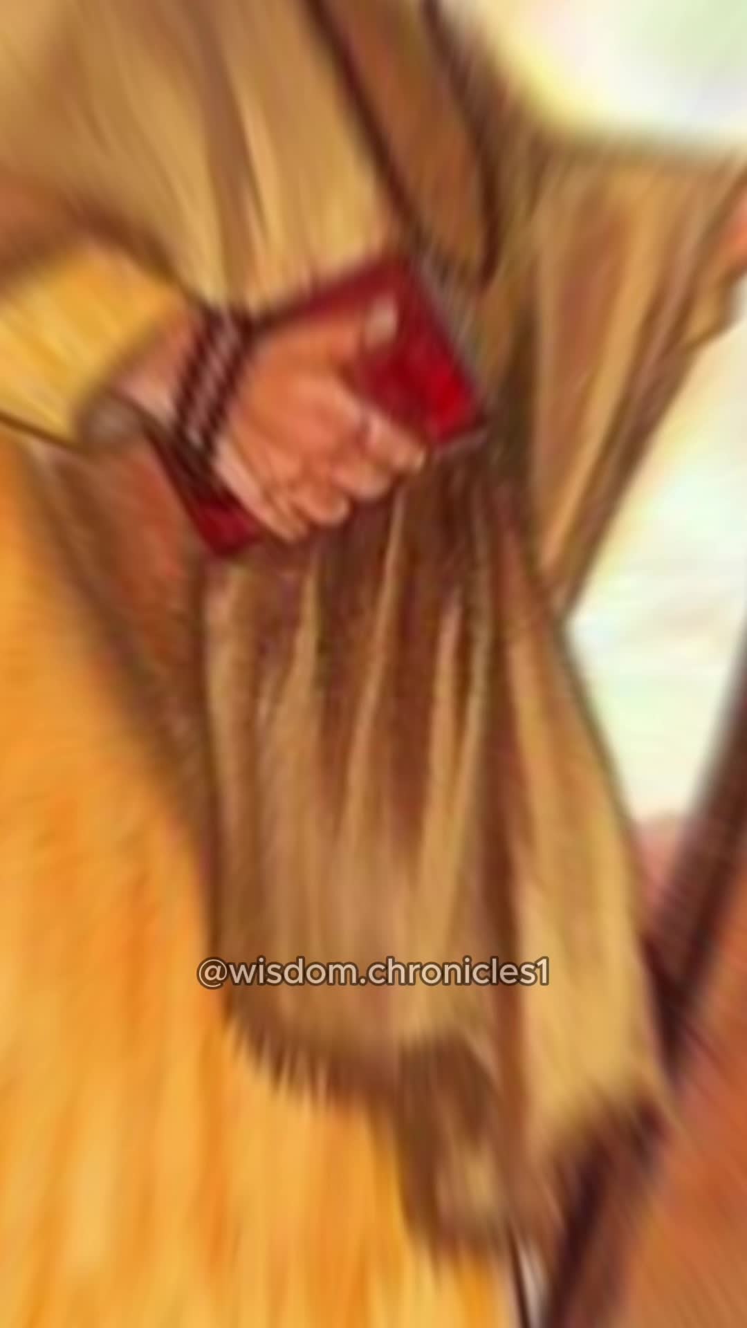 @Sikhi Wisdom