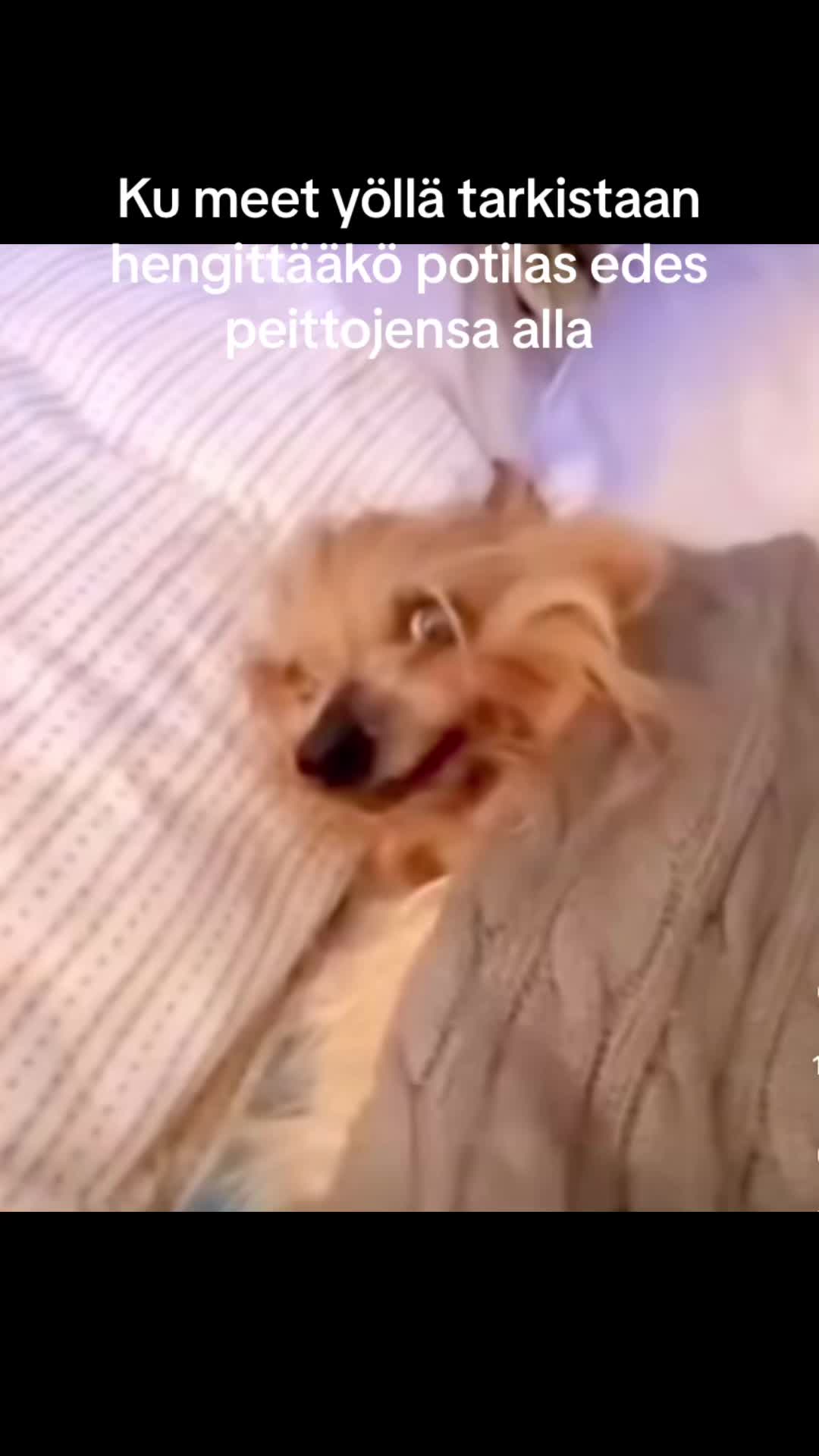 @Viivi Eräpuu