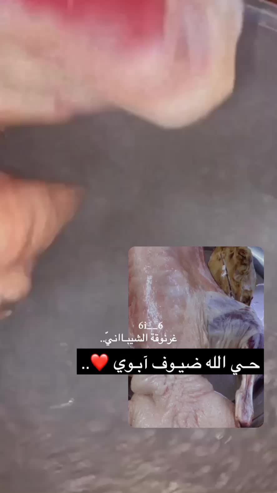 @᷂غرنوقه ᷂الشيبـاانيّ ♕.