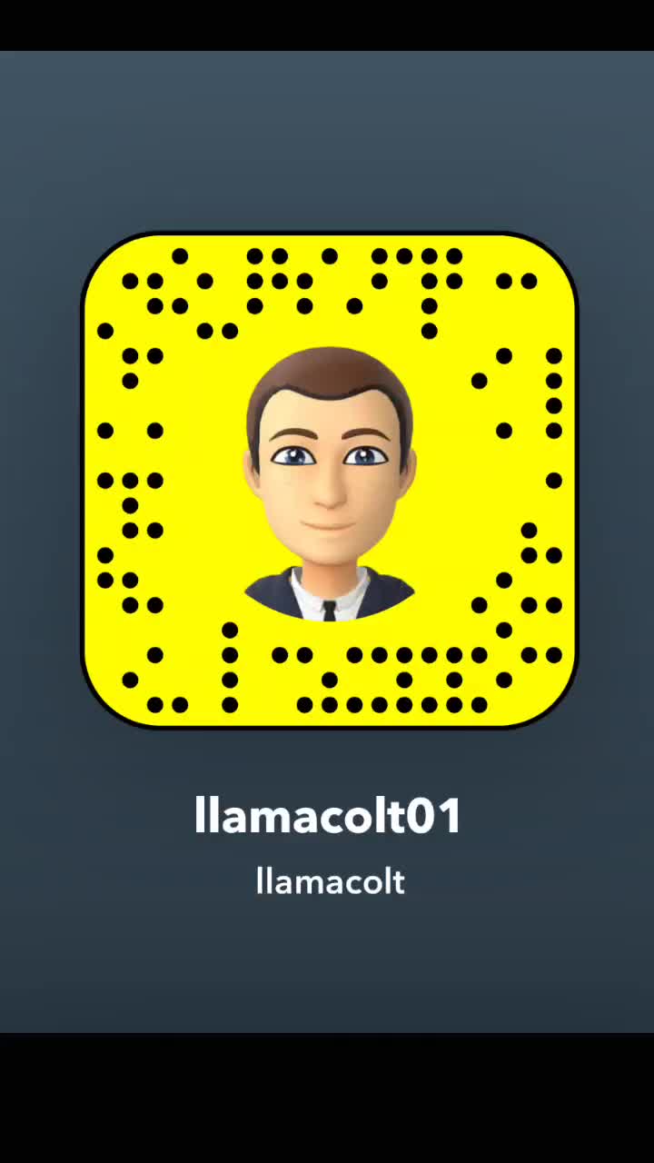 @Llama Colt Leader