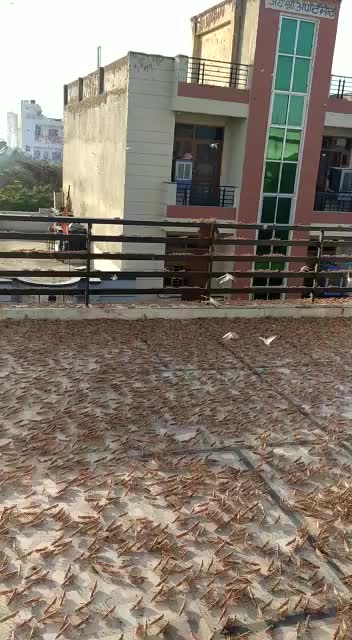 @Ravi0991