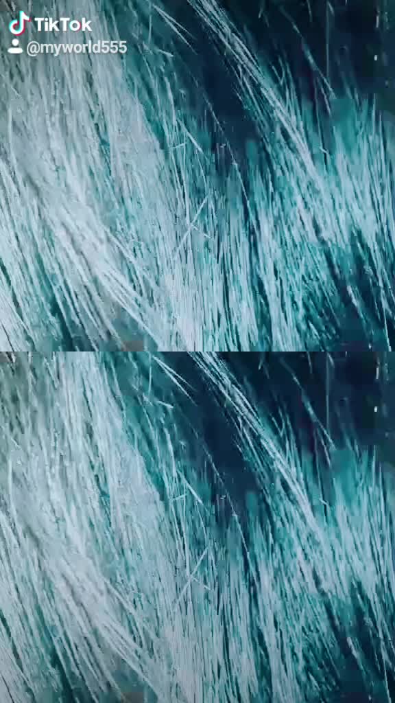 @disiii