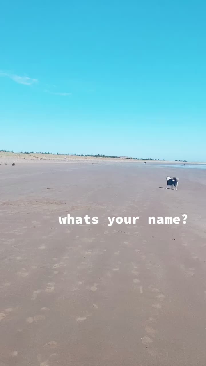 @baygiaussie