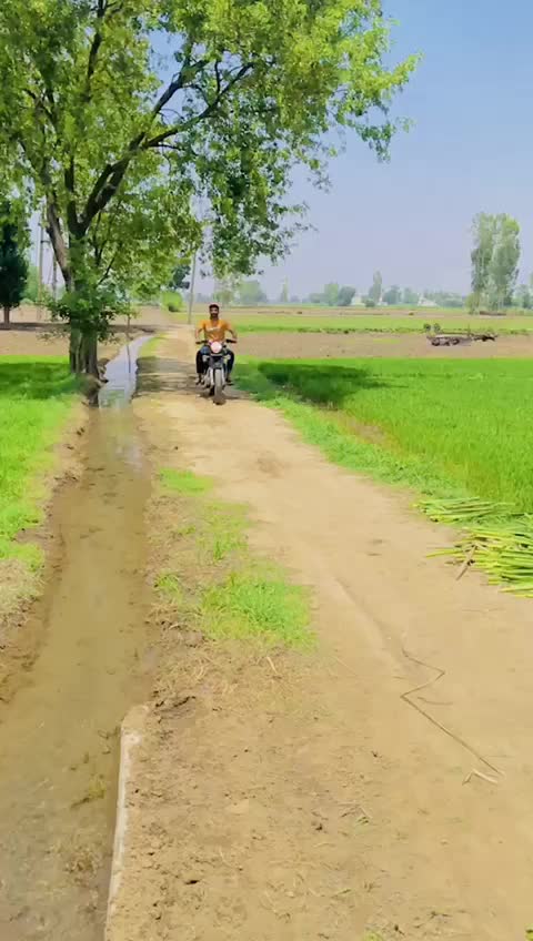 @Sunil Bains