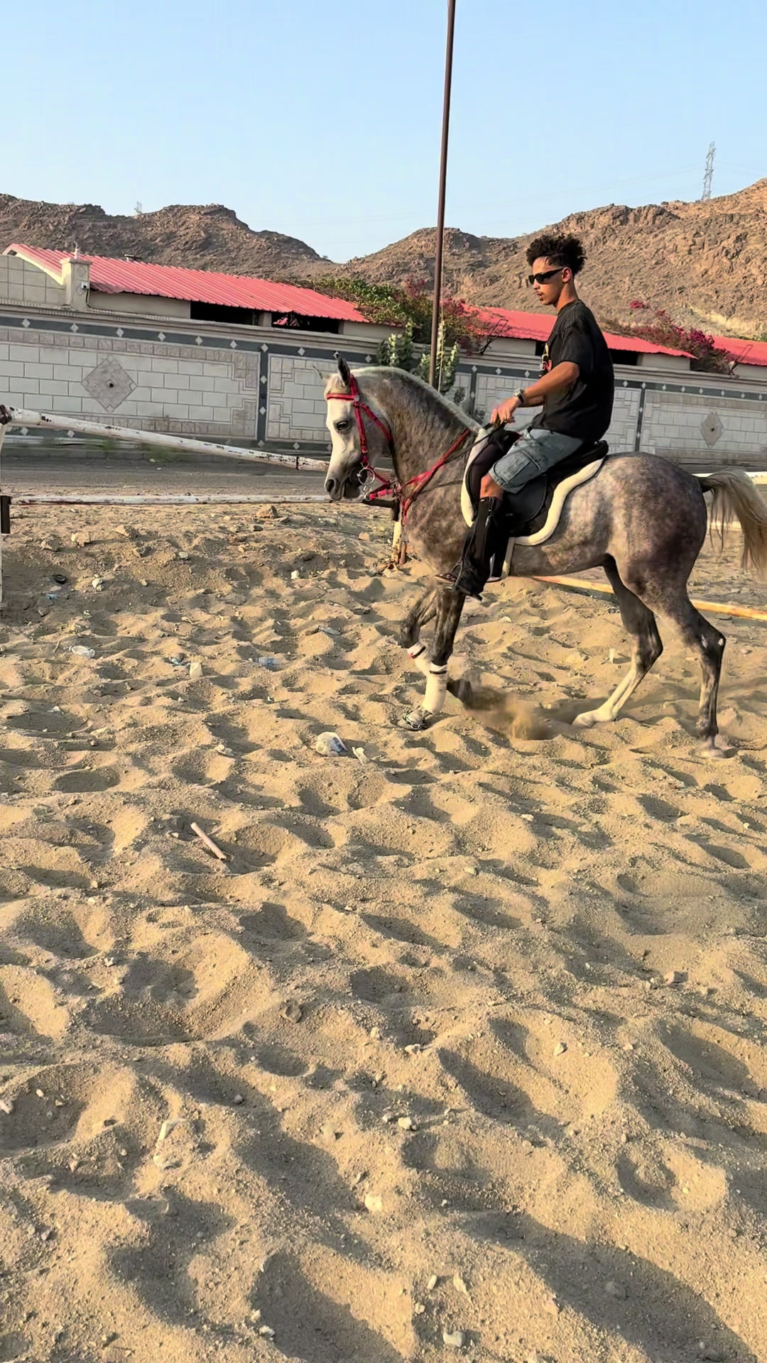 @فادي بن بندر 🎠