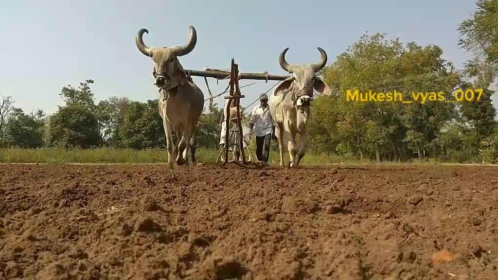 @Mukesh VyasPrajapati