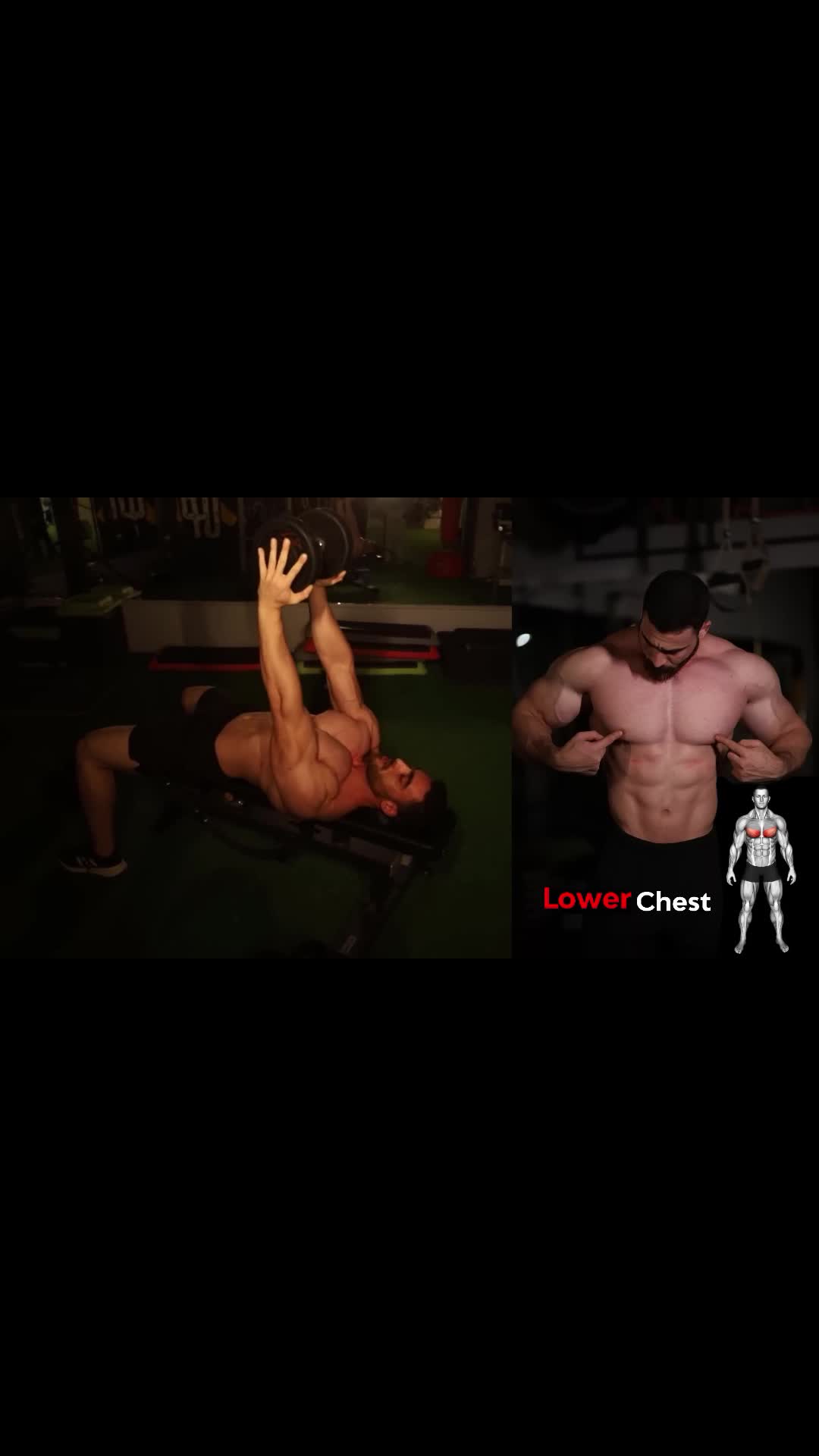 @GymFitnessMode
