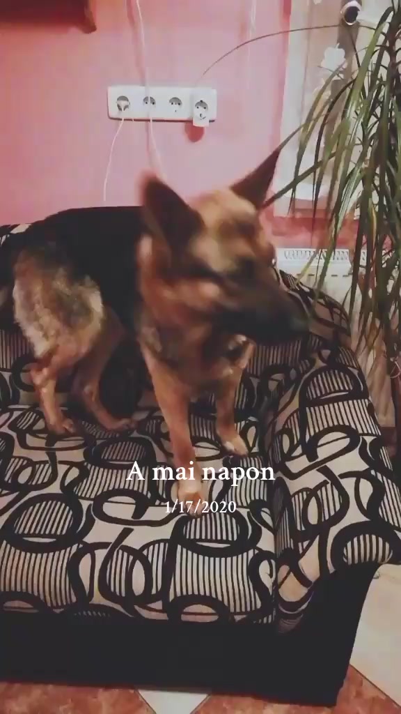 @Takács János