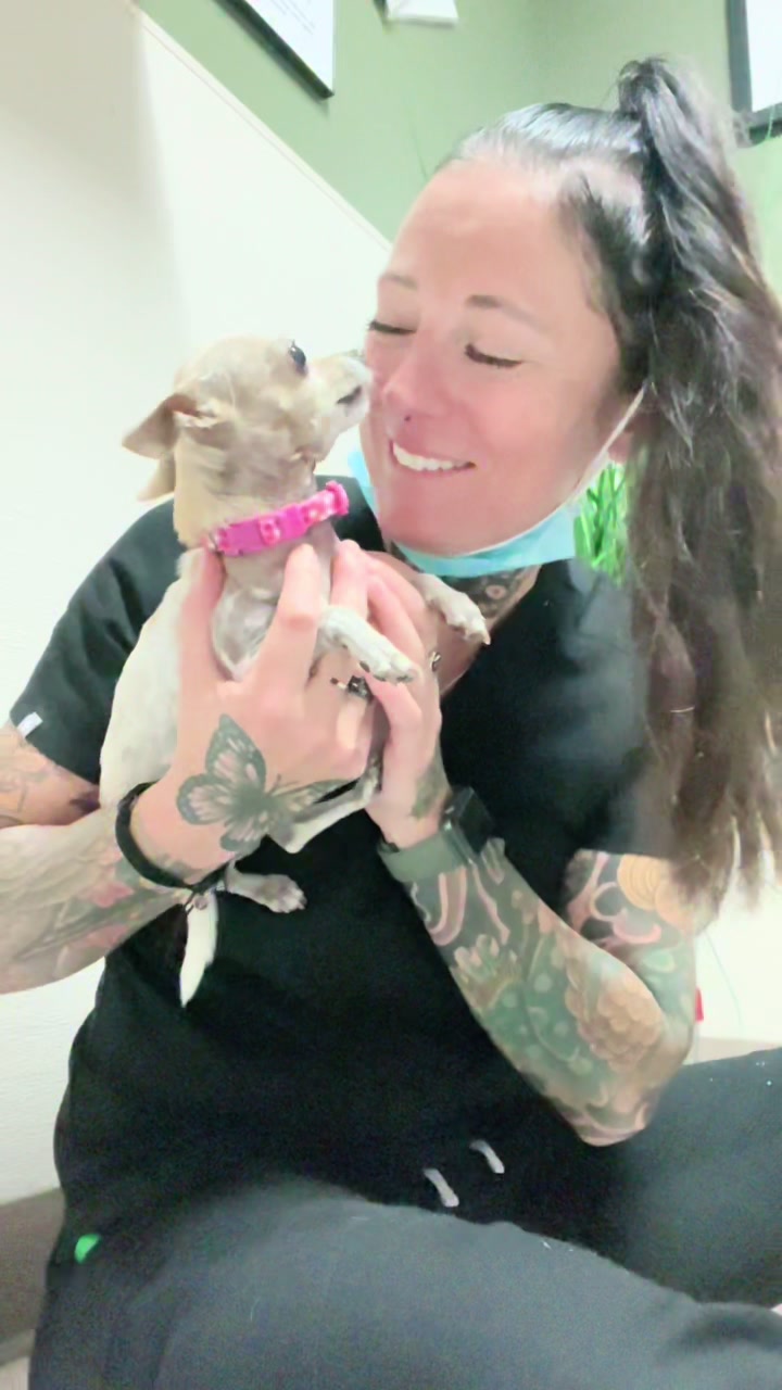 @Elite Pet Dental