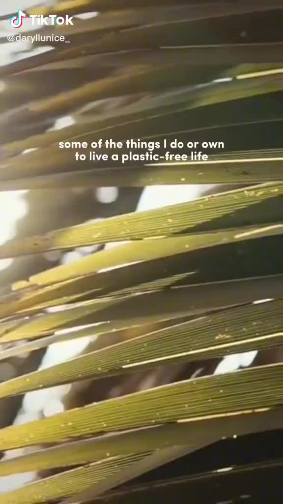 @Ecowash Shampoo Bar