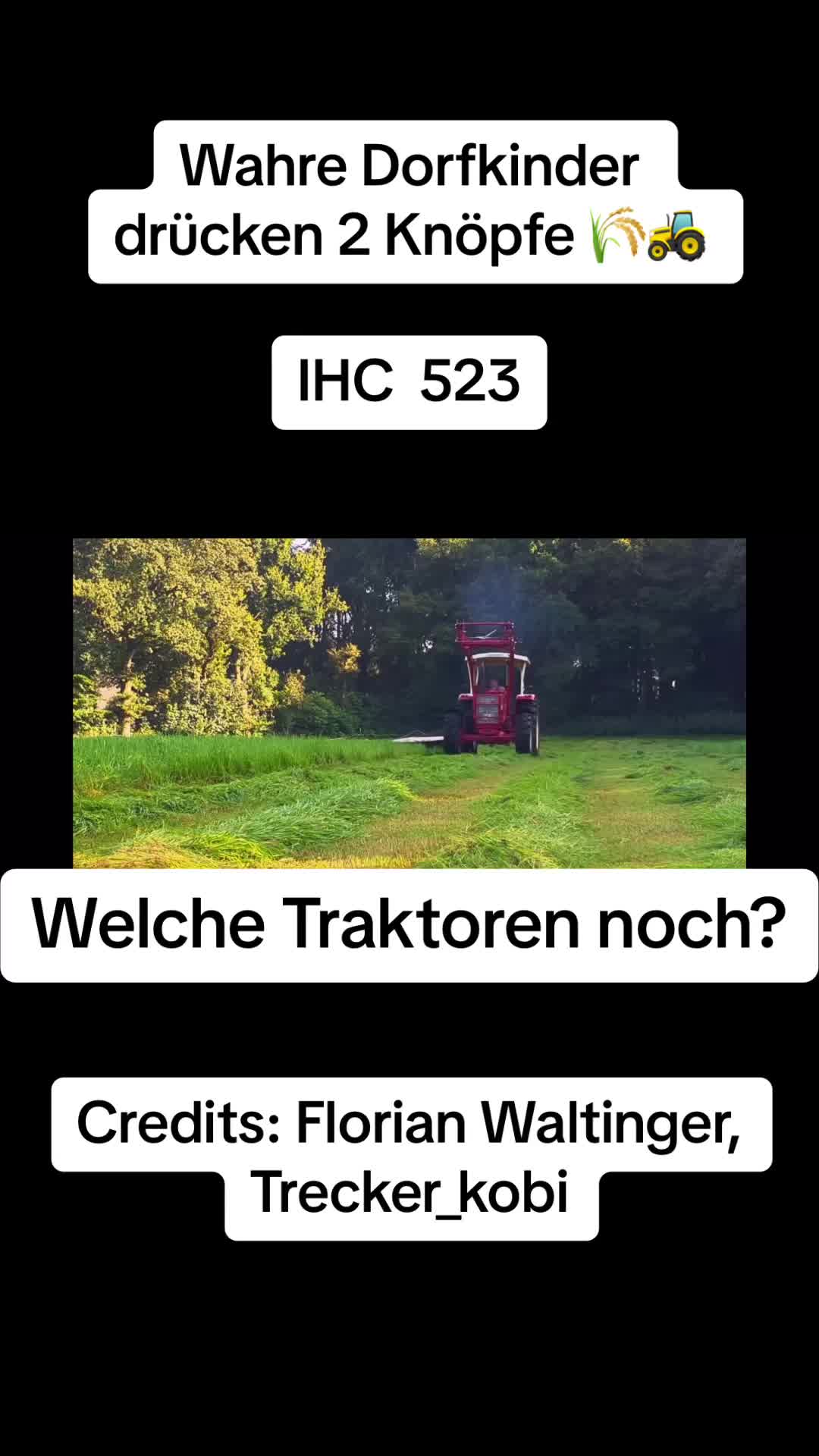 @Dorfkind