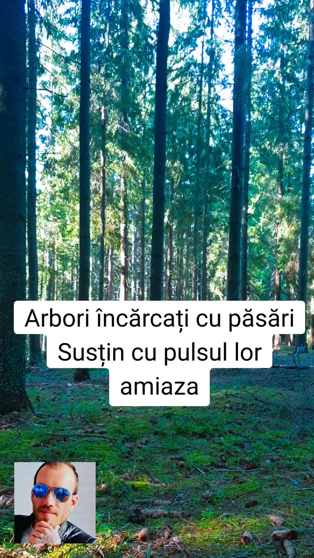 @Armin Lawrence