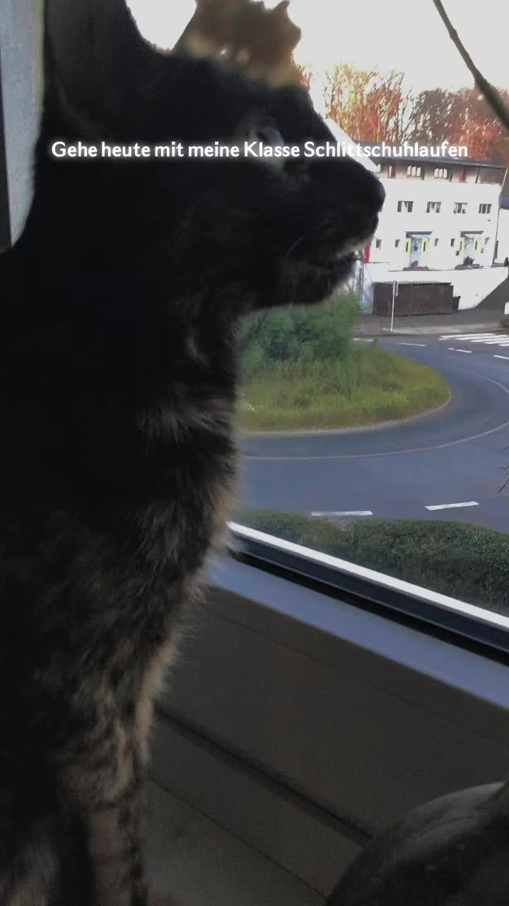 @𝐌𝐢𝐦𝐢<𝟑