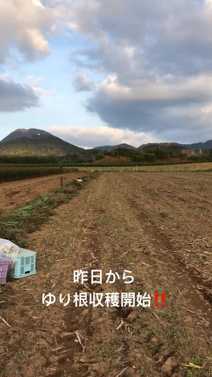 @アグリノムラ