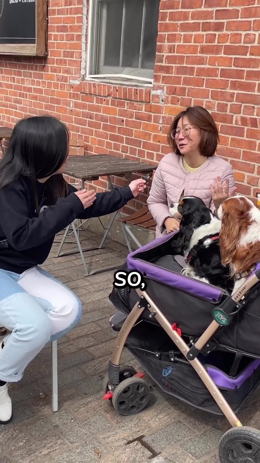 @WoofWoofTV
