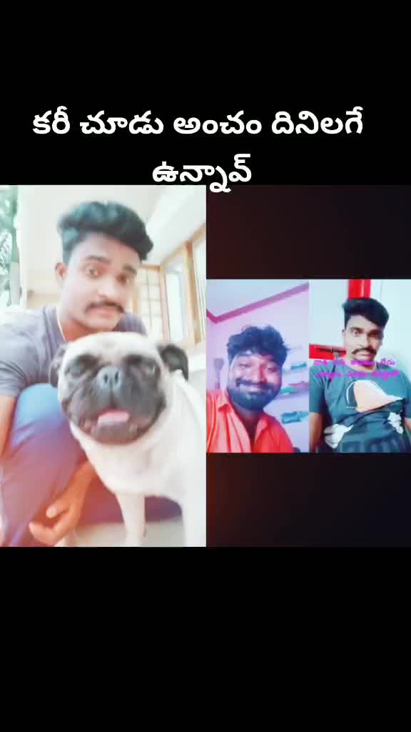 @venugopal