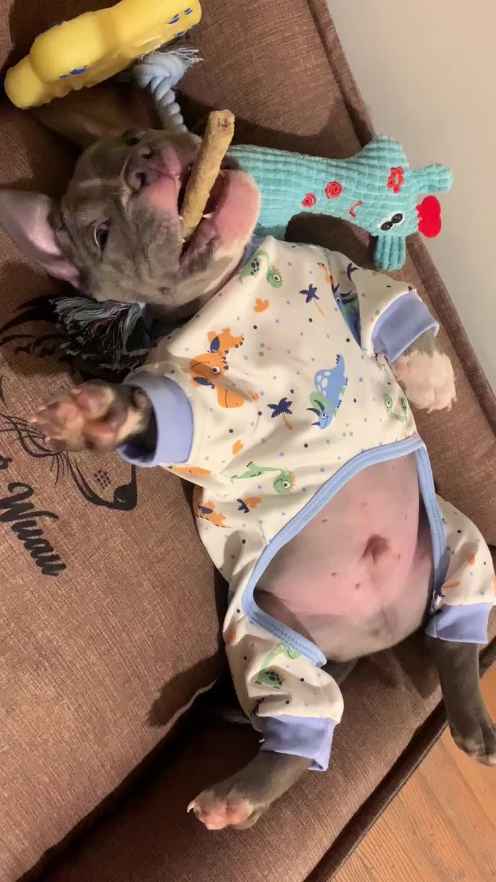 @𝚉𝚎𝚞𝚜 𝚎𝚕 𝙱𝚞𝚕𝚕𝚢🧸⚡️