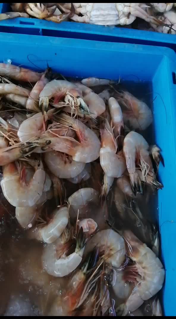@fish mart@007
