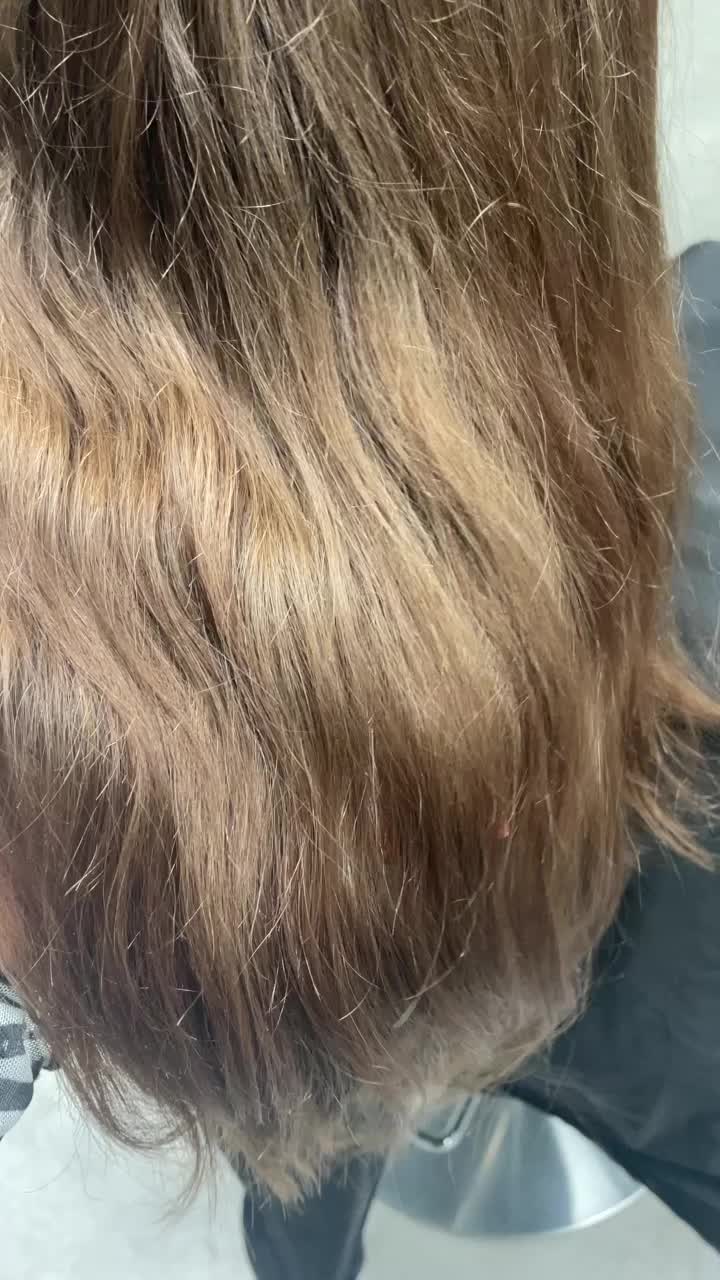 @norisen1