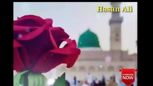 @user9023757296509