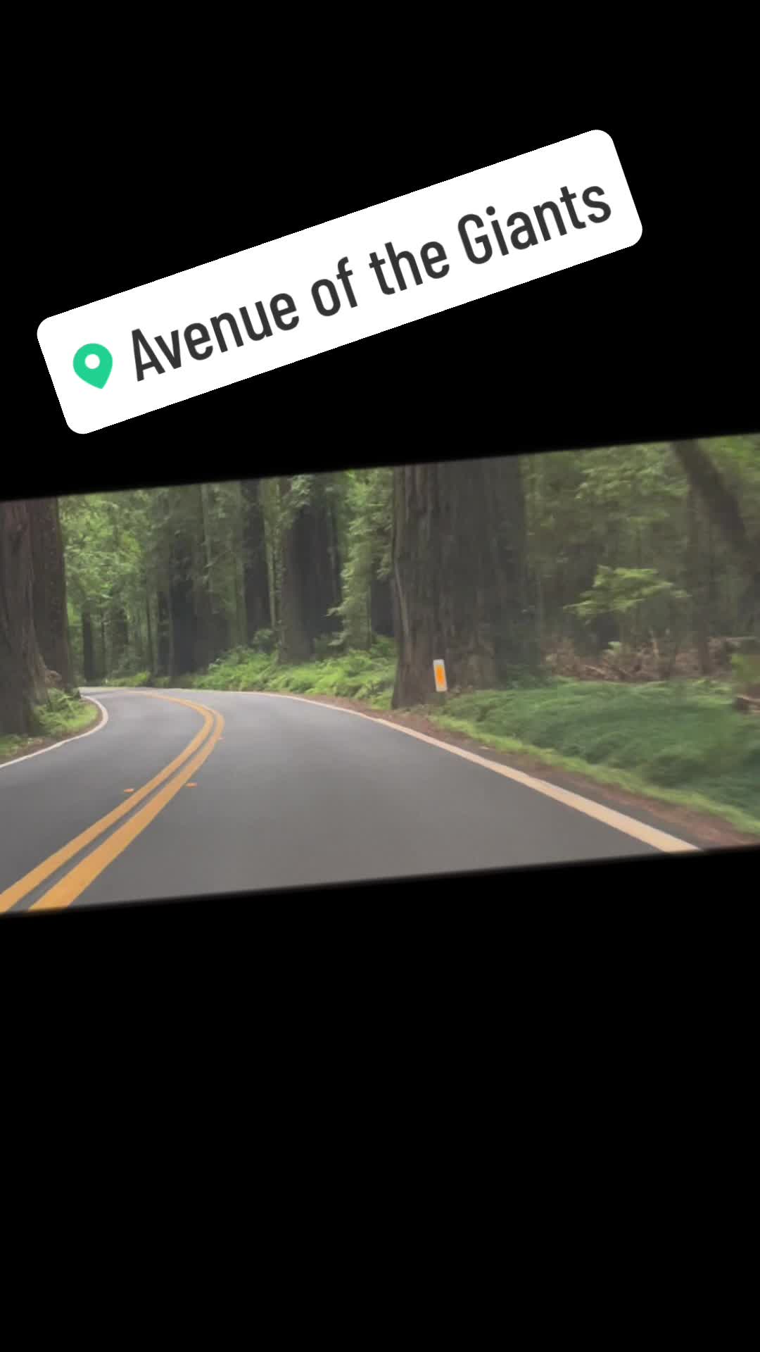 @thebartopguru