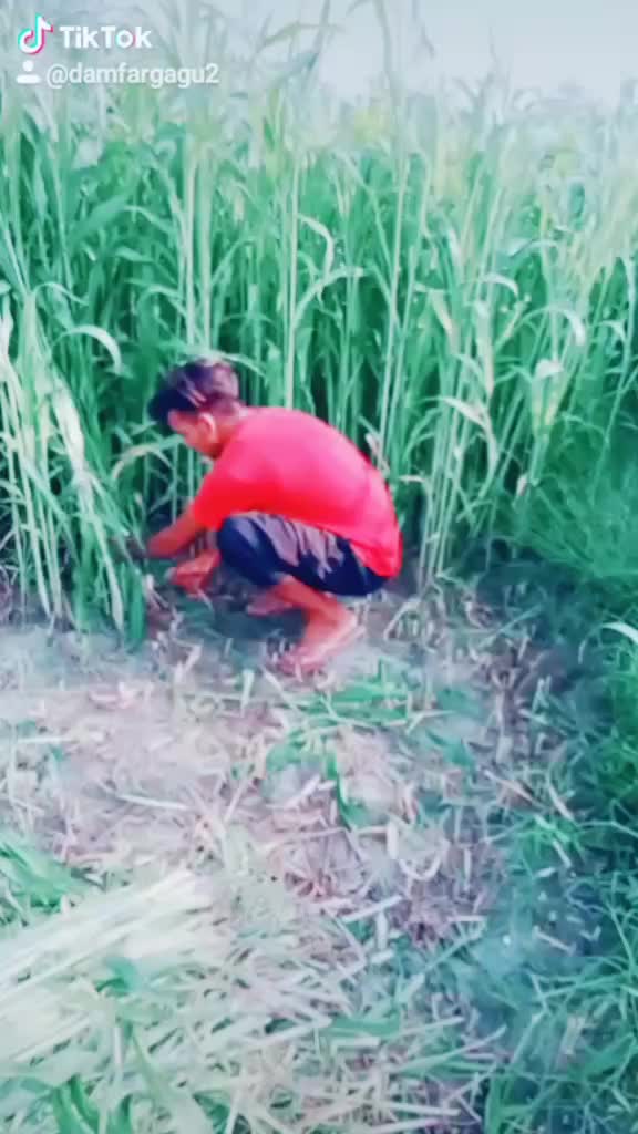 @Singal Gagu