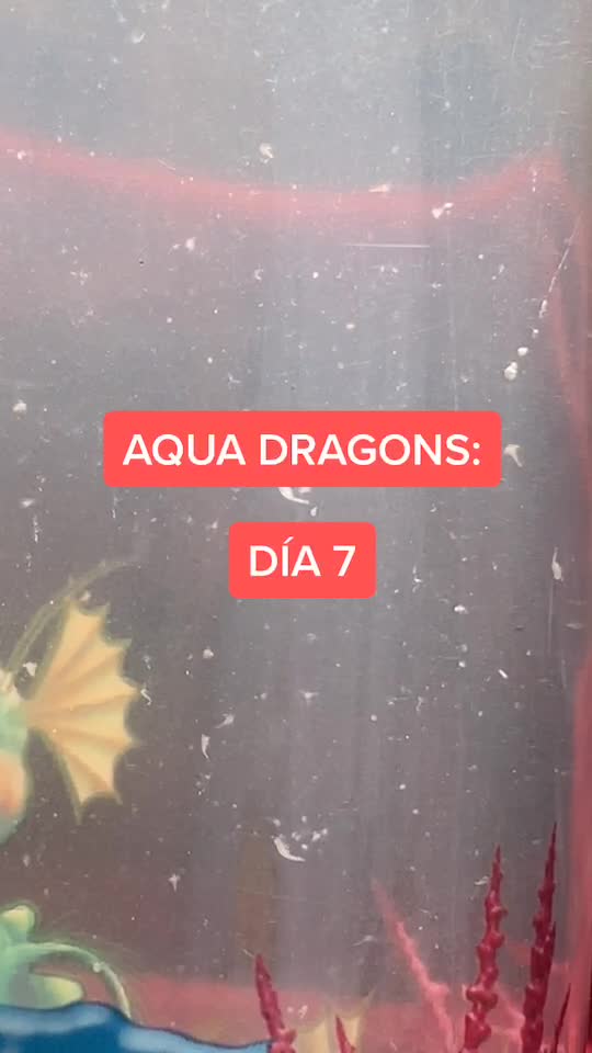 @mini.dragons