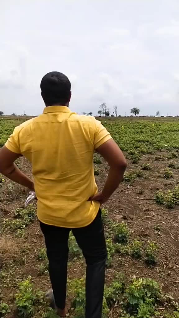 @arpit dubey