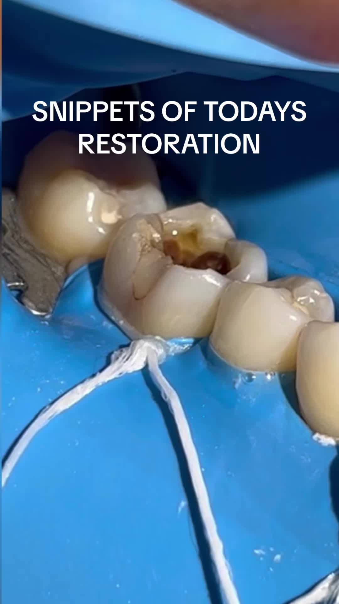 @DrWaldoEngelbrecht