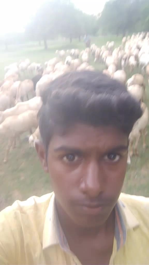 @Kanagaraj M