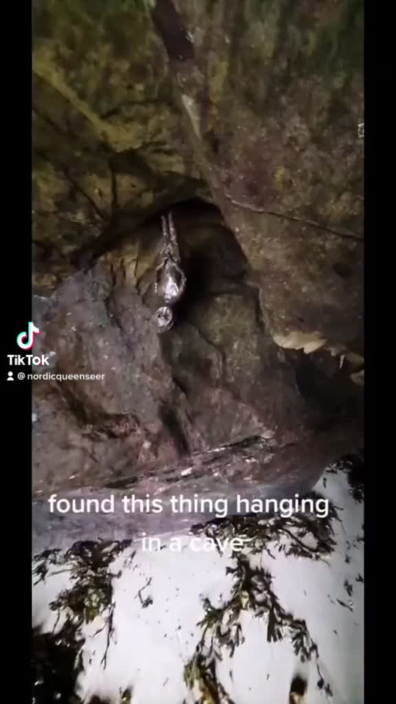 @tudordoppelganger