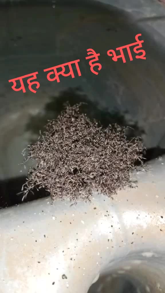 @Shivam Koli