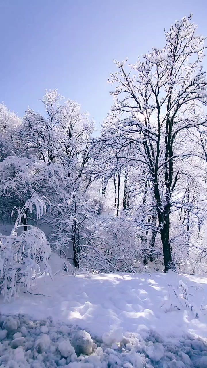 @phantera_085