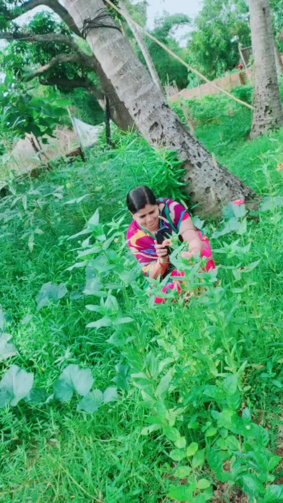 @ANIL KUMAR