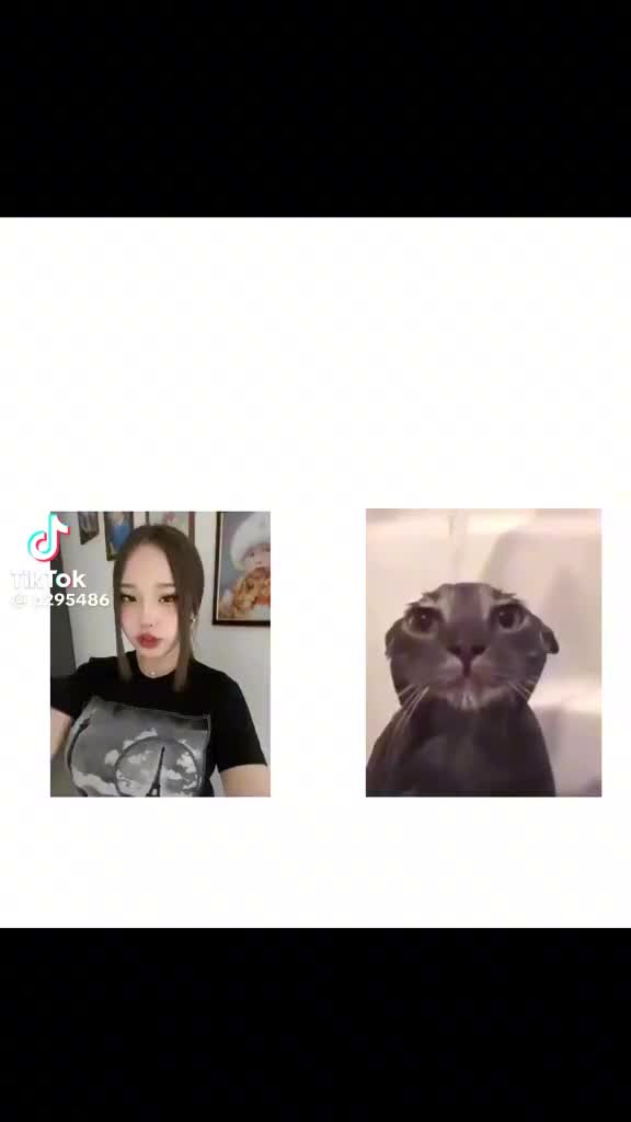 @сыныптас фан