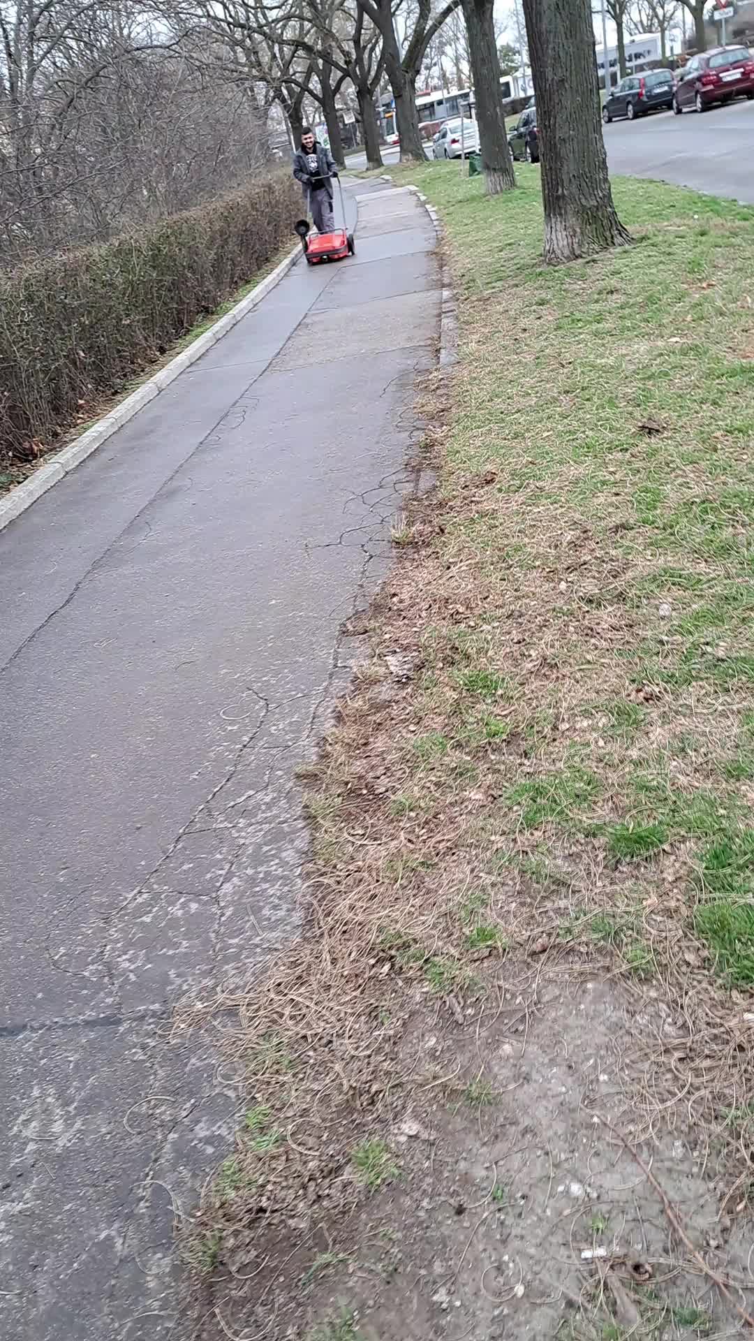 @denis Stanković