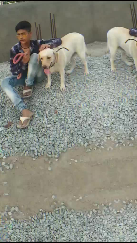 @rahul1808