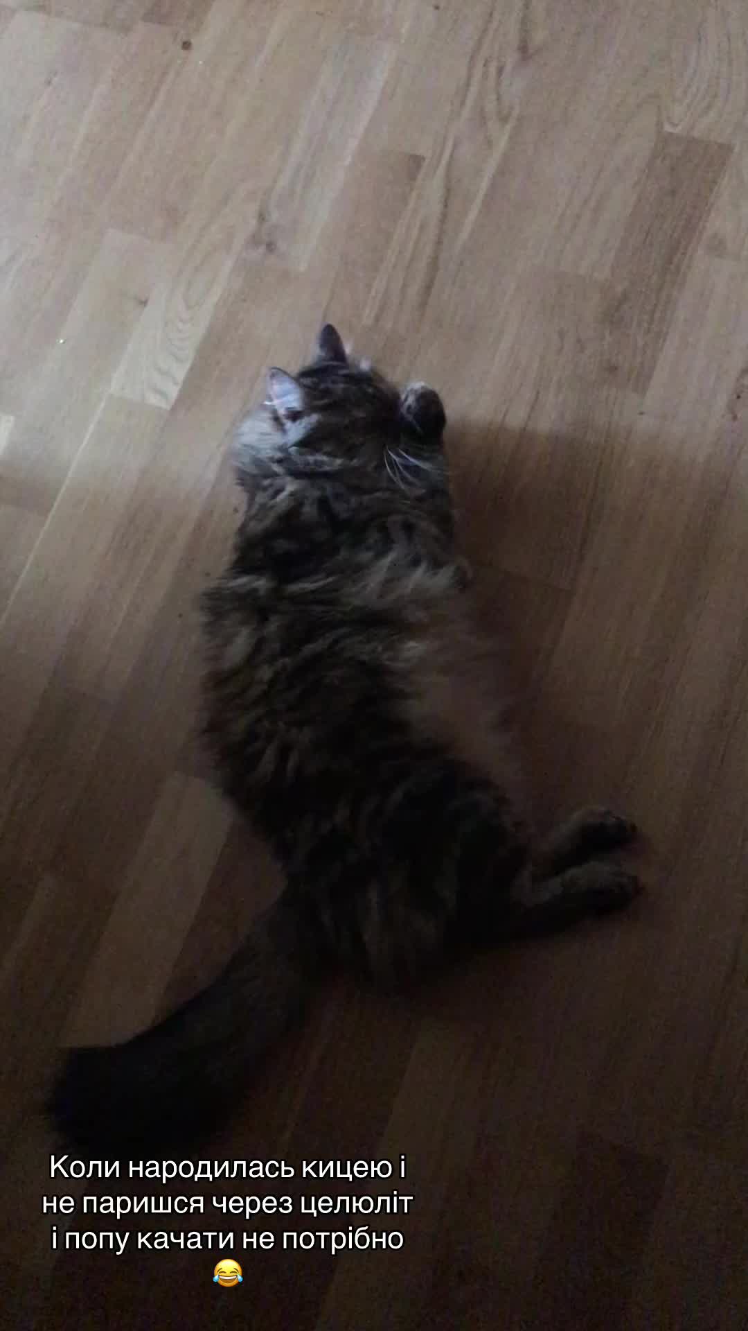 @Diden_kote_tiana
