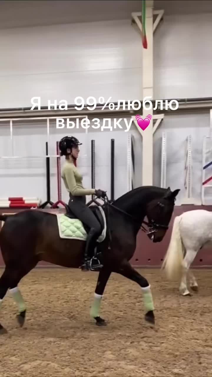 @horse riders