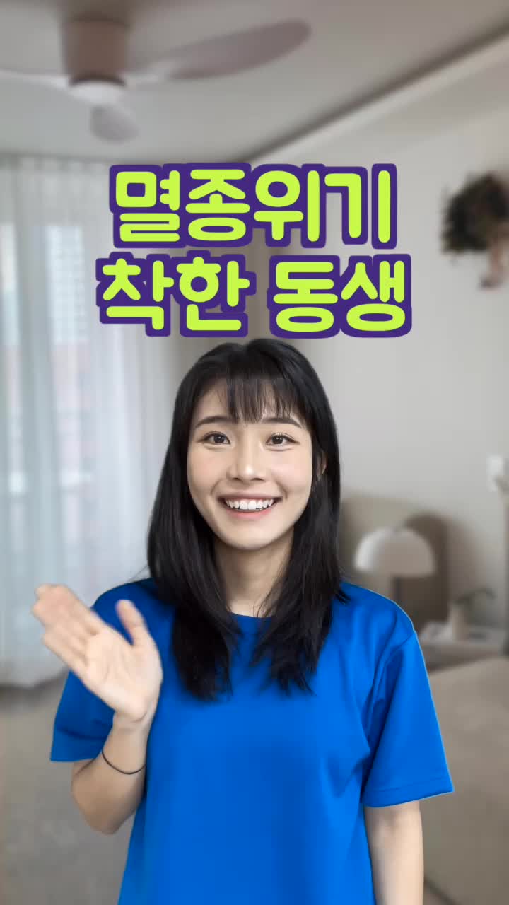 @다인메세지