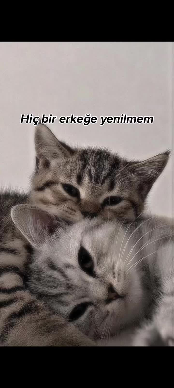 @🫠🫠