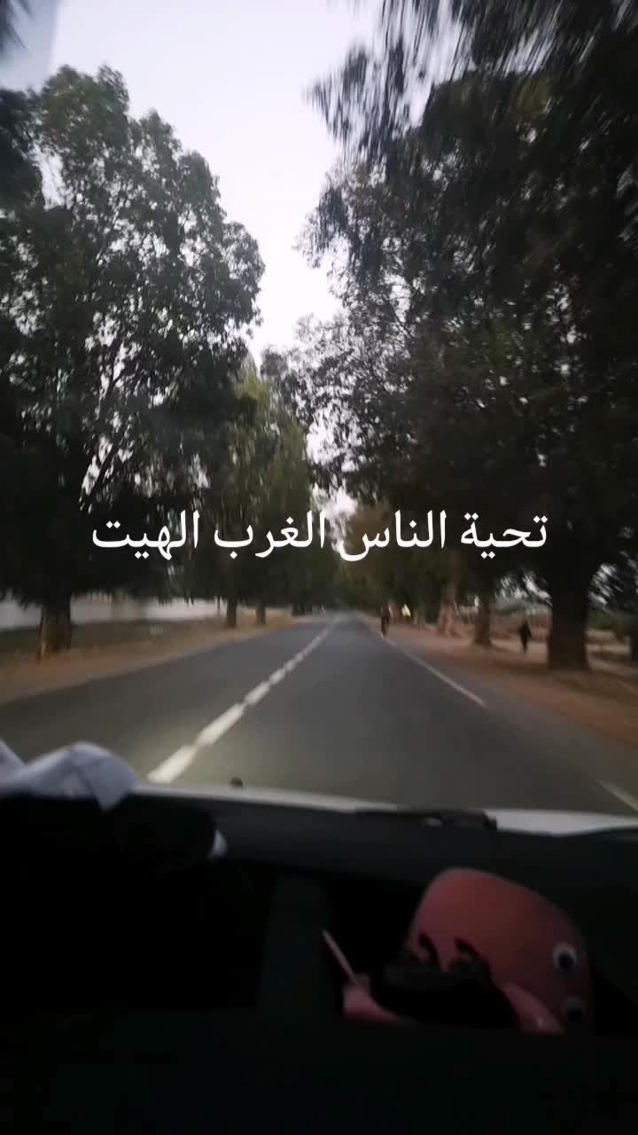 @tarikkhomssi