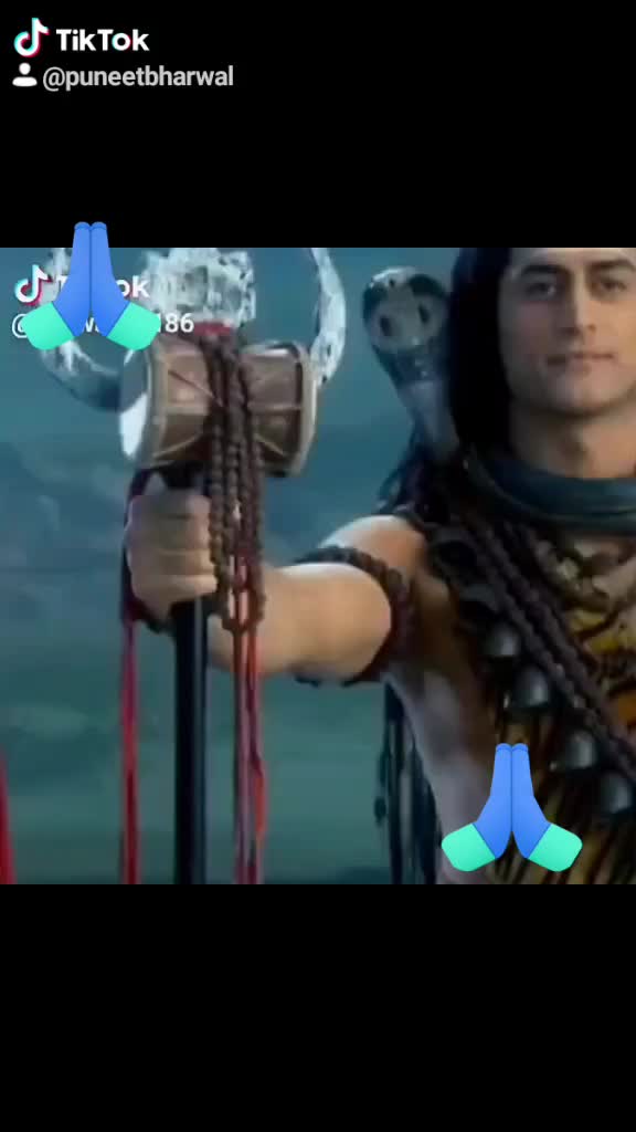 @Puneet Bharwal