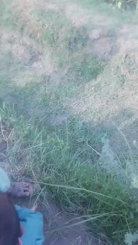 @Reghu