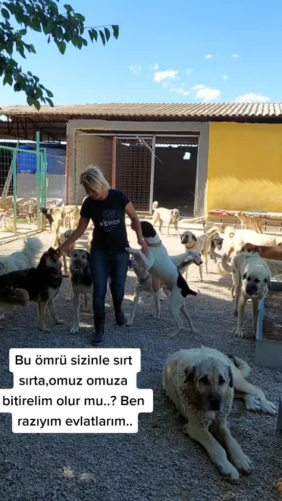 @Nevra &Uuml;nl&uuml;