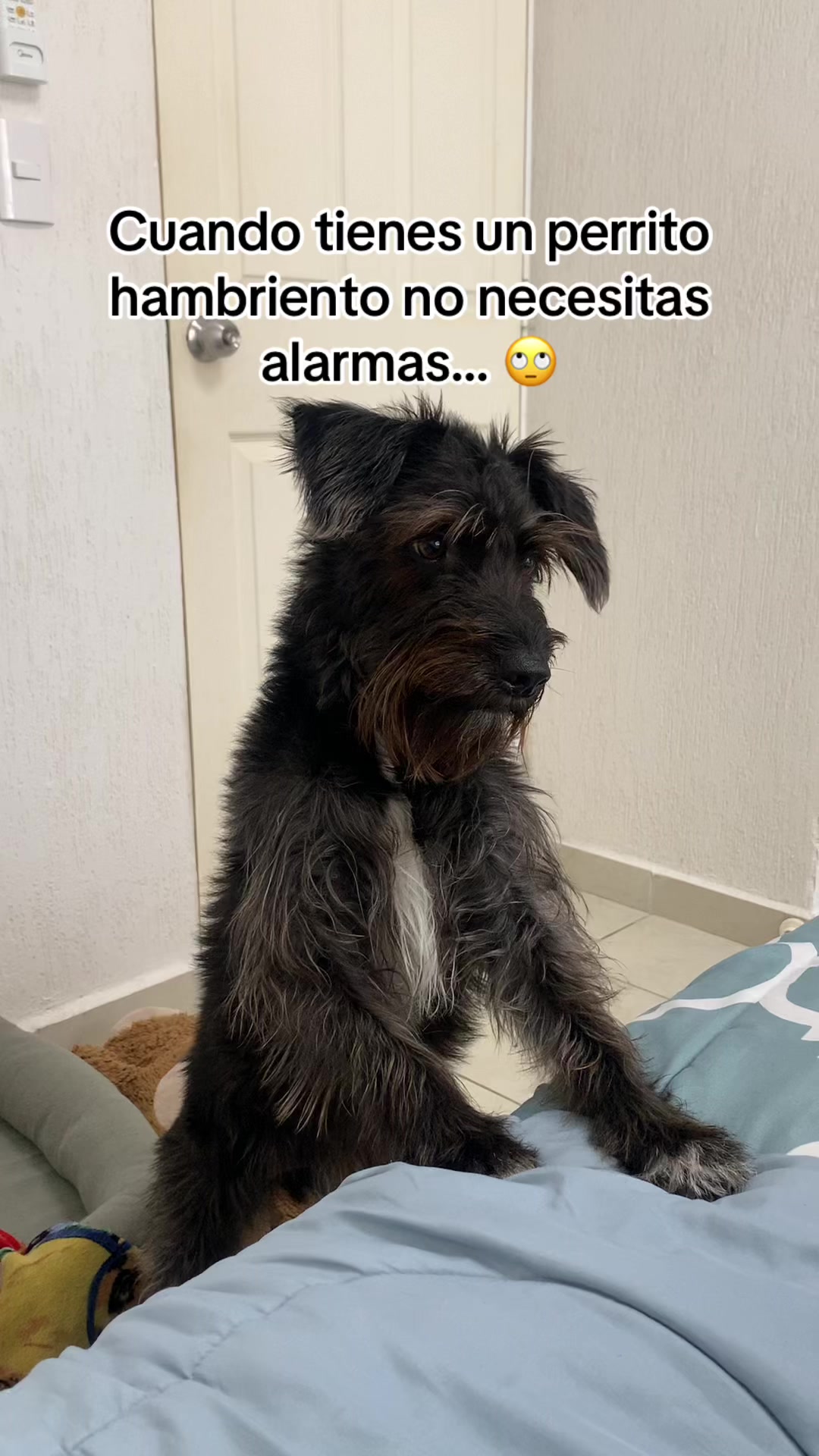 @KaryWithChef