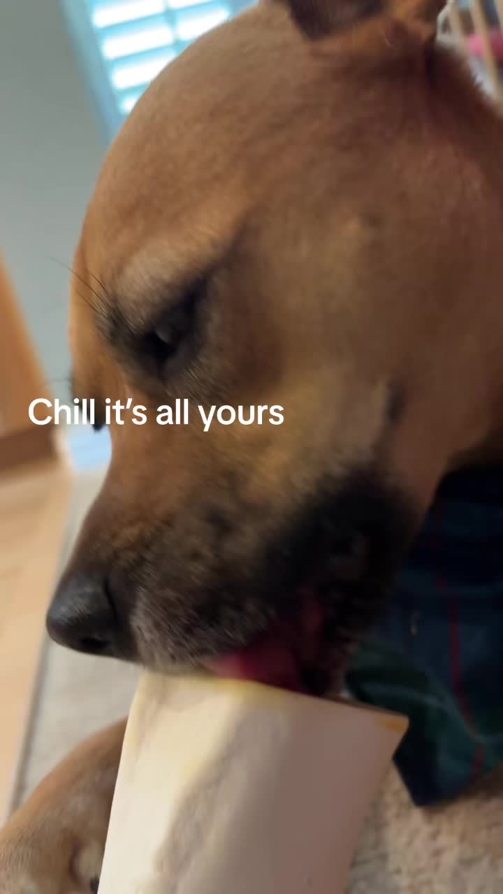 @Hailun