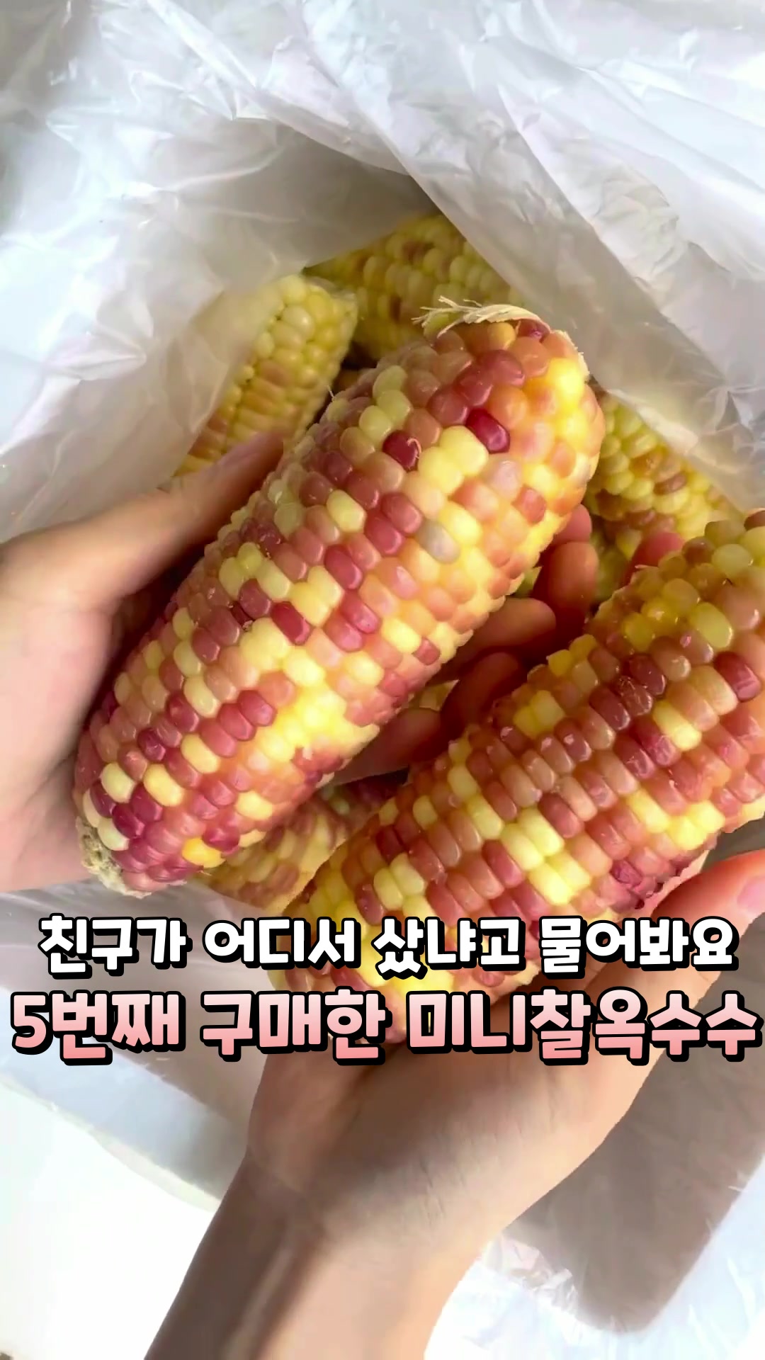 @에코후레쉬