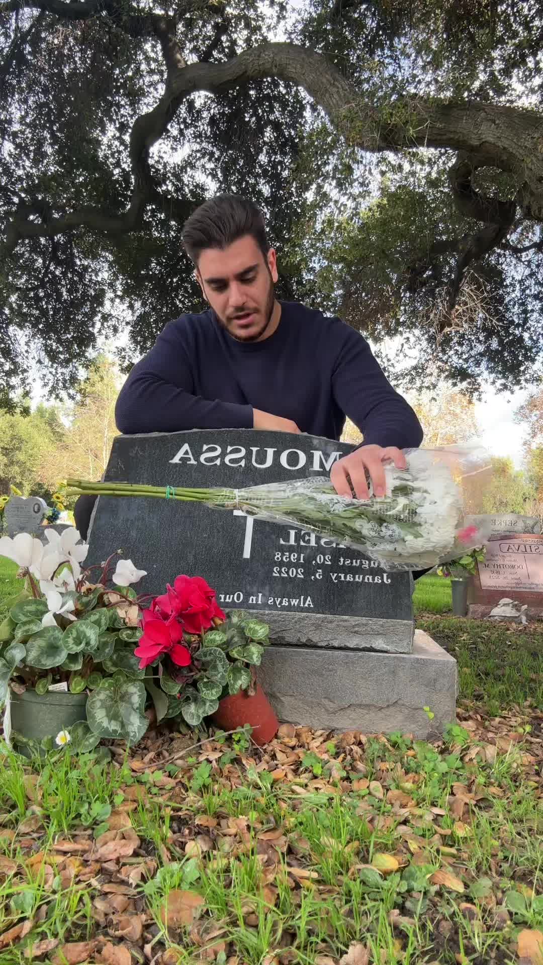 @Jado506